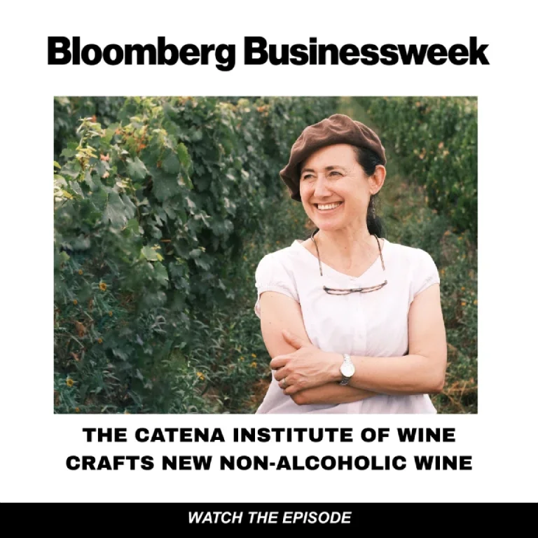Bloomberg Businessweek — The Catena Institute of Wine crafts new non-alcoholic wine. Watch the episode