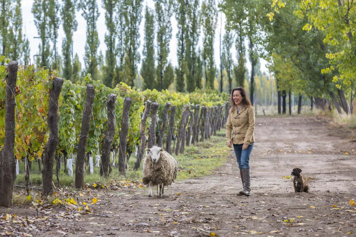 The Drinks Business: When green means drinking differently: Laura Catena on Domaine EdeM