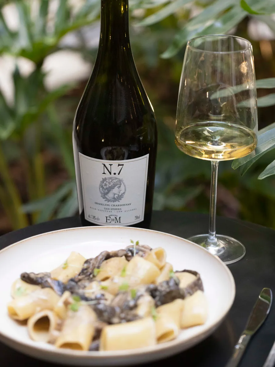 Bottle of UCO STONES with a glass of wine and a plate of pasta