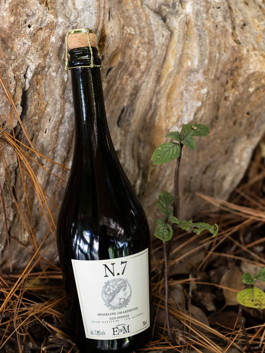 Bottle of UCO STONES leaning against a rock